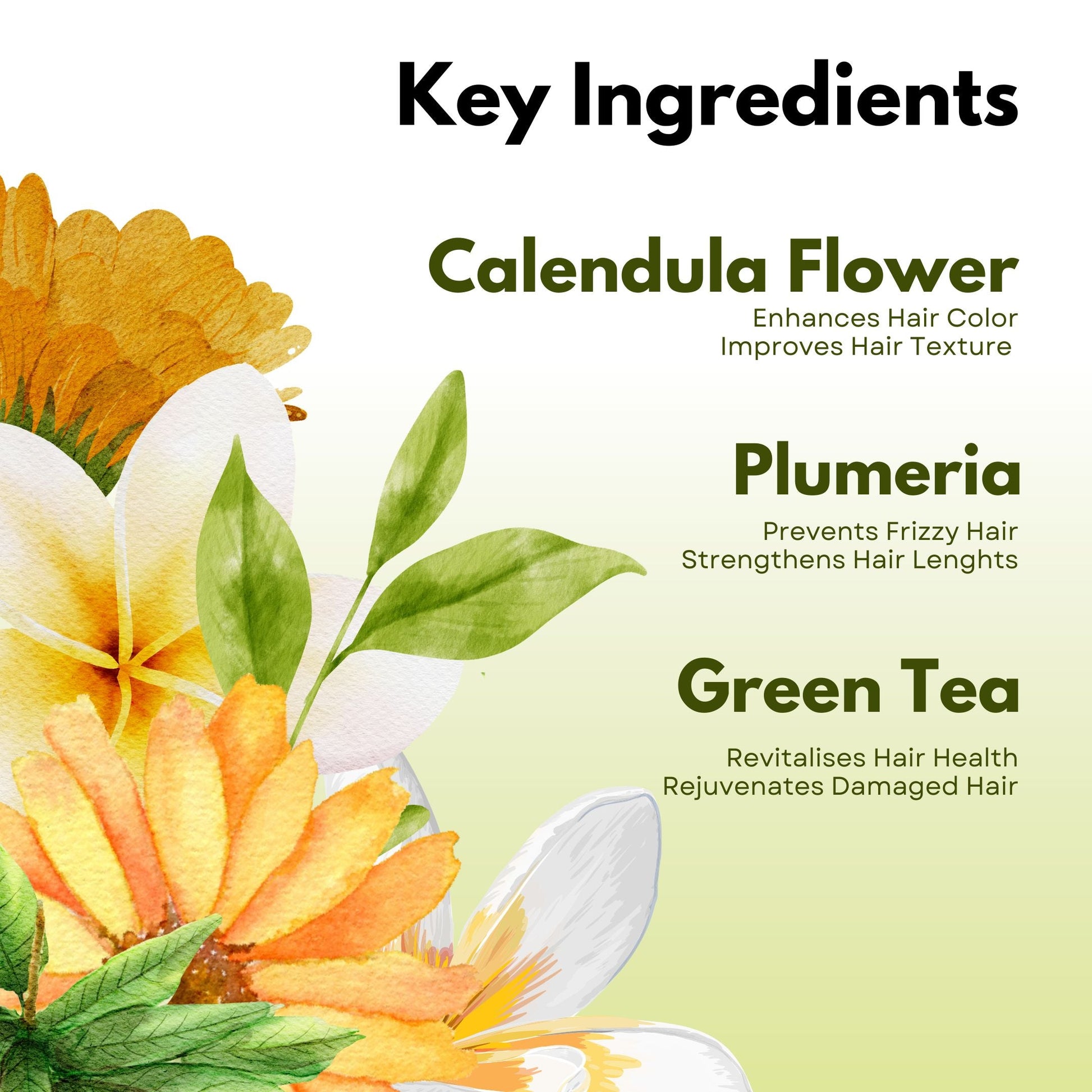 Green Camellia Tea Hair Perfume Paradyes