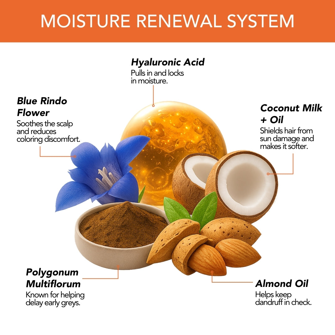 Moisture Renewal System in Paradyes Pure Crème Care featuring coconut milk, hyaluronic acid, almond oil, blue rindo flower, and polygonum for scalp comfort and hydration.