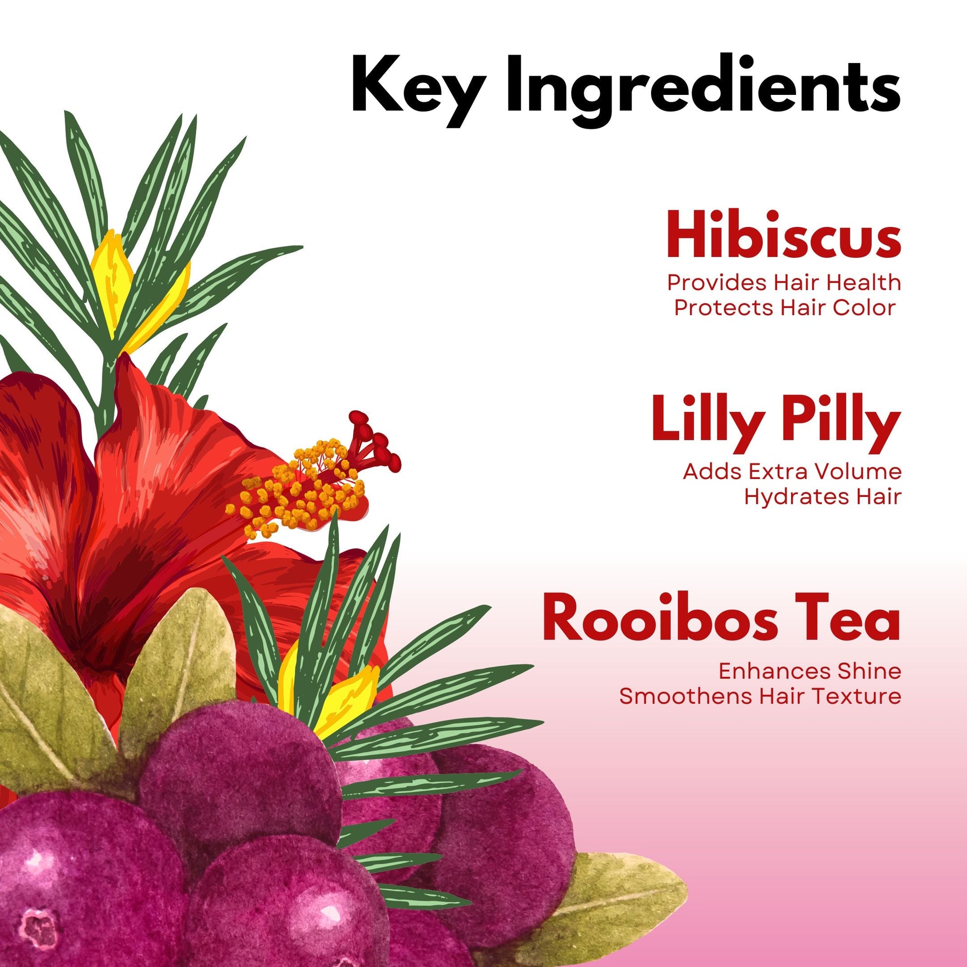 Red Rooibos Tea Hair Perfume Paradyes