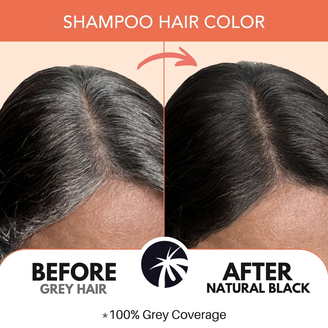 Before and after result showing grey hair covered with Paradyes Natural Black shampoo hair color for an even black finish.