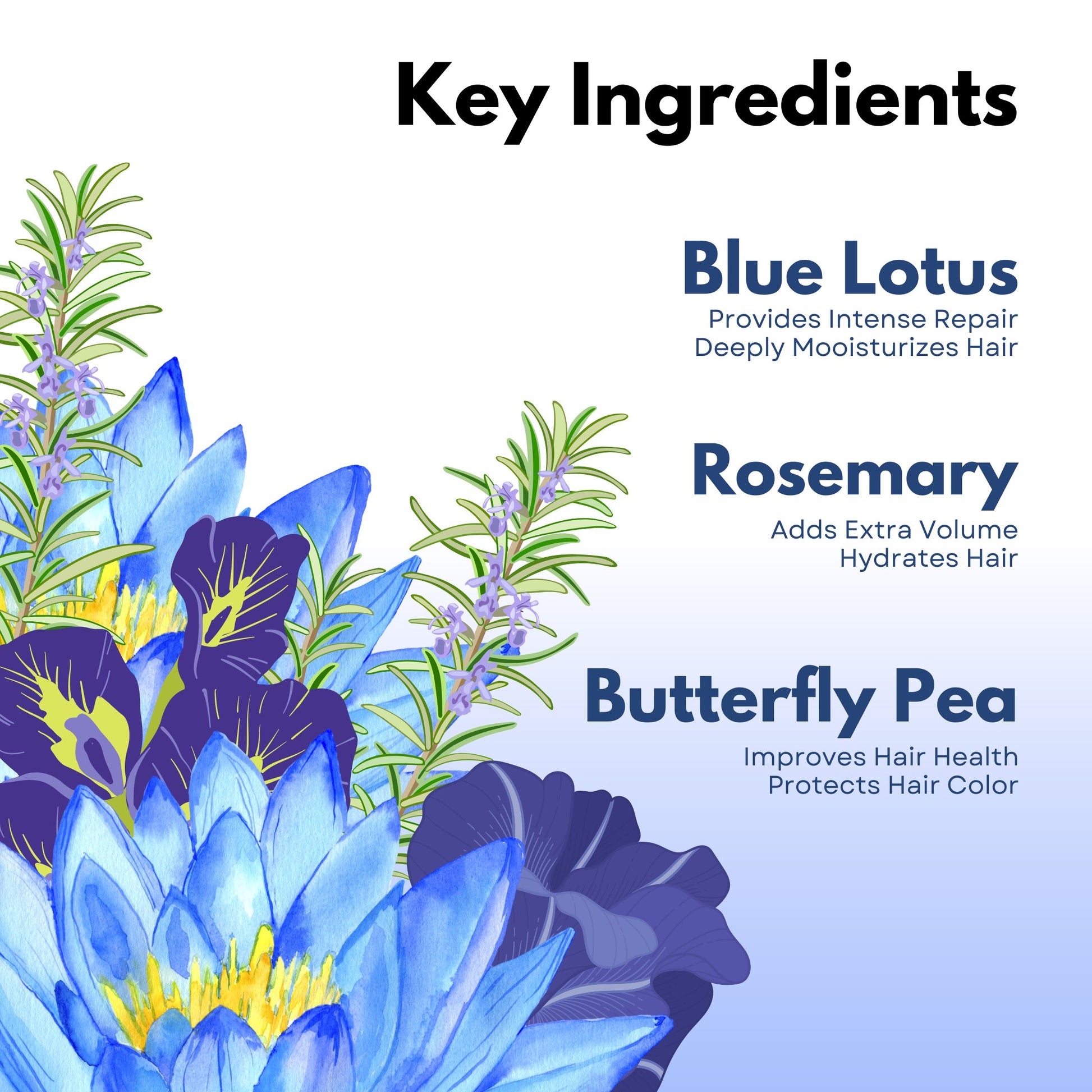 Blue Lotus Tea Hair Perfume Paradyes